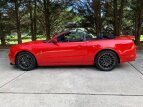 Thumbnail Photo 19 for 2014 Ford Mustang Shelby GT500 Convertible